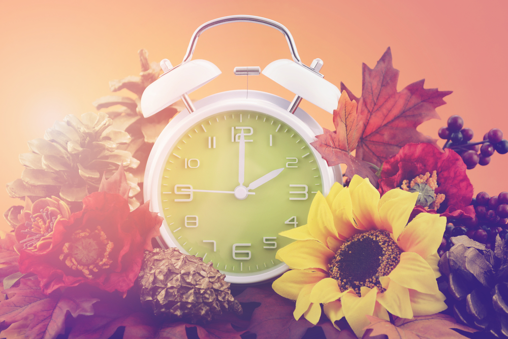 Alarm Clock in Fall Leaves