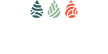 Grand Opening Massage Special Elements Massage Cherry Creek Central