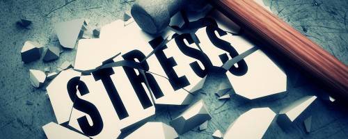 Banner Image for How to Fight Stress It's National Stress Awareness Month