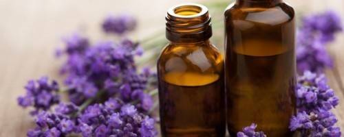 Banner Image for Essential Oils: How Aromatherapy Encourages Relaxation