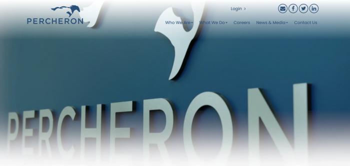 Percheron website homepage Logo