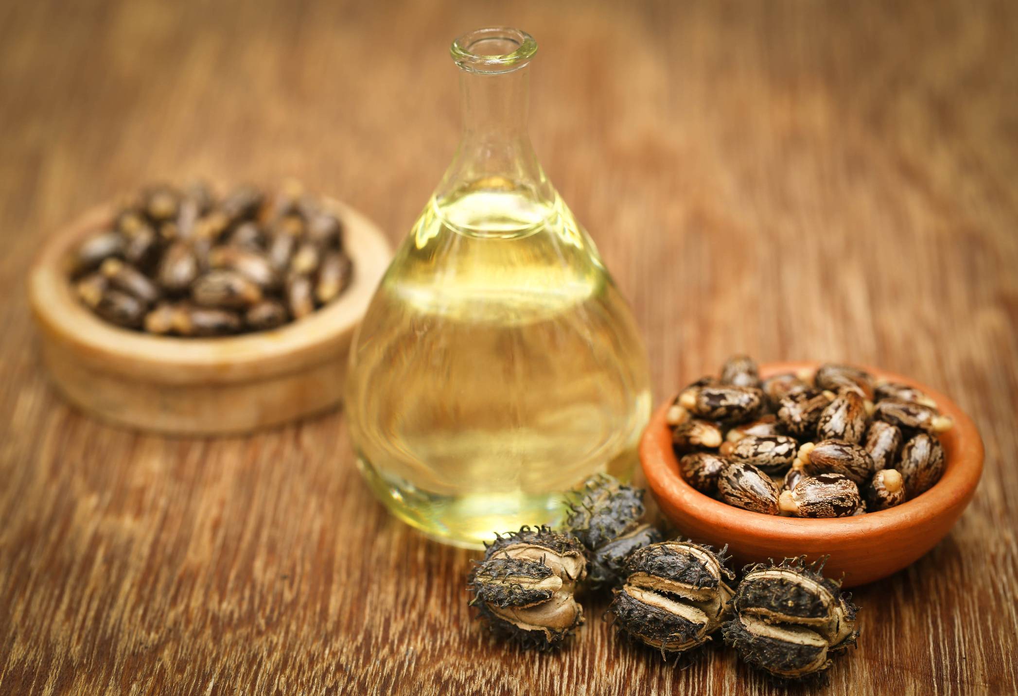 7 Incredible Health Benefits of Castor Oil for your Body Blog