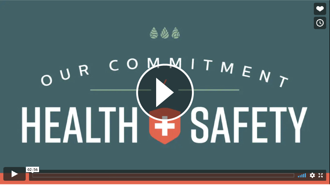 Elements health and safety video