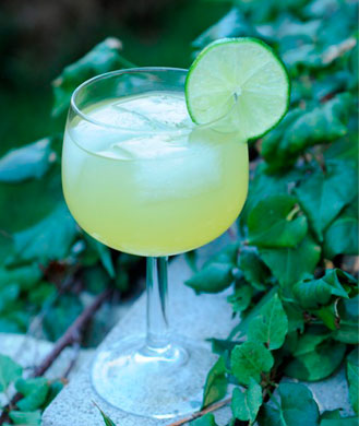 margarita with lime slice